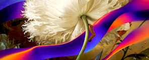 A caterpillar on a white flower stem, framed by flowing purple and orange ribbons over a classical painting.