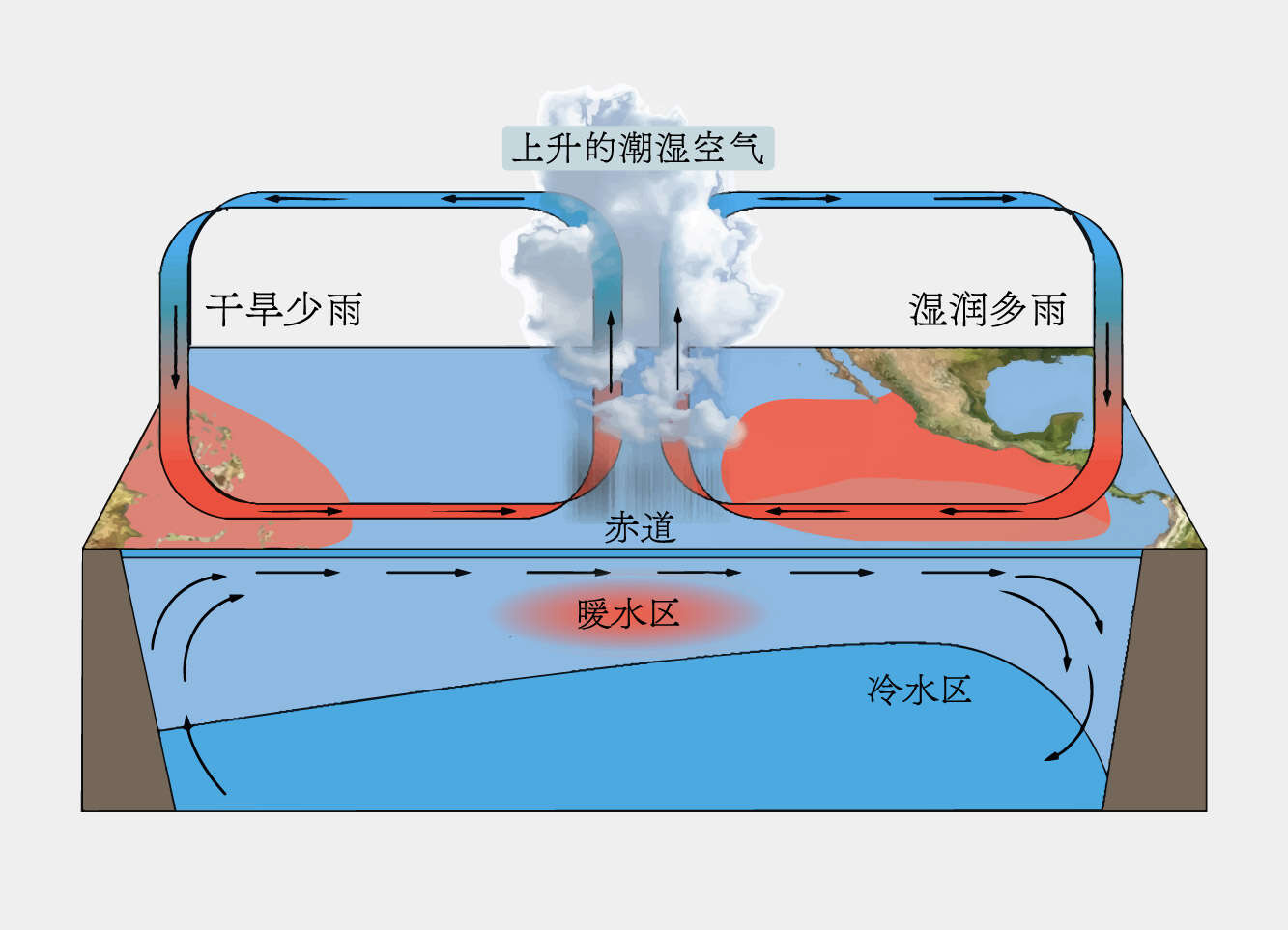 数字说|厄尔尼诺是什么?它将如何影响我们的生活?
