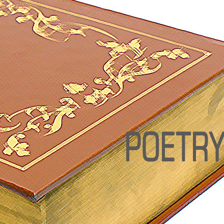 IP BOOKS poetry