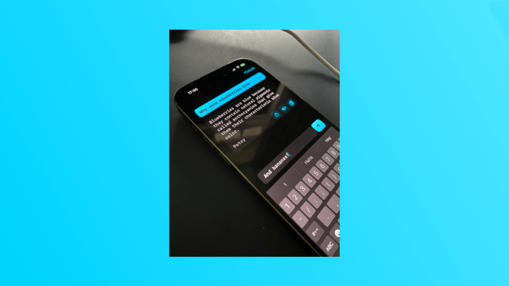 Petey_iPhoneApplicationList