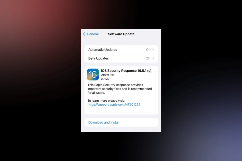Rapid_Security_Response_16.5.1_iPhoneApplicationList
