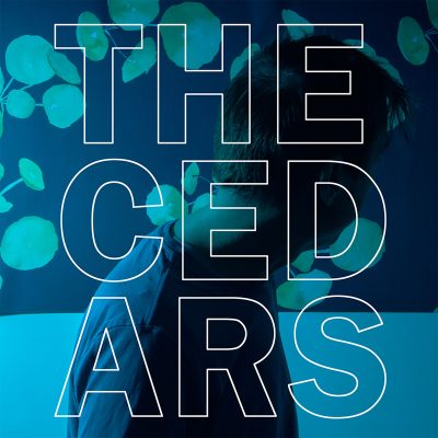 THE CEDARS is Streaming Now!