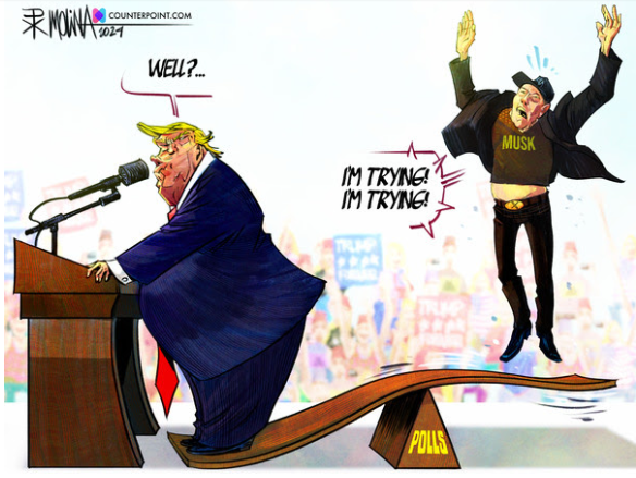 toon