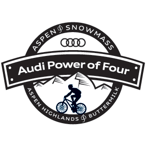 Audi_Po4_2