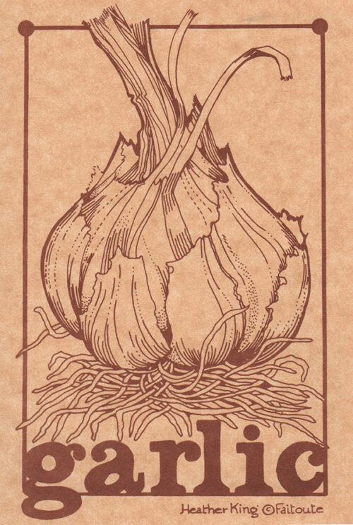 Postcards
