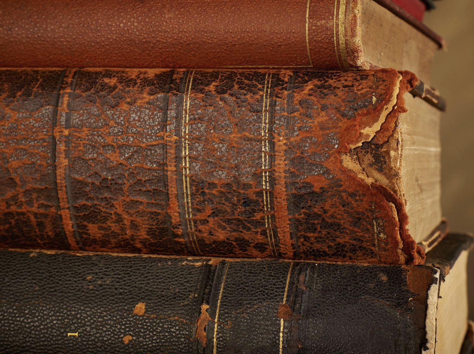 Rereading as Comfort Why Familiar Books Still Hold Power
