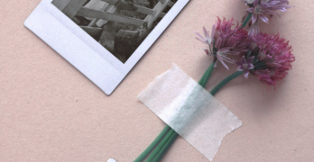 Two vintage photos of mothers and children taped to a rose-pink background along with a small bunch of thistles.