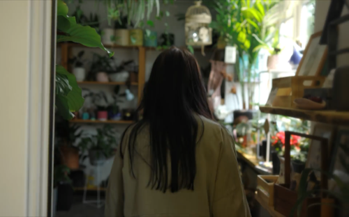 plants