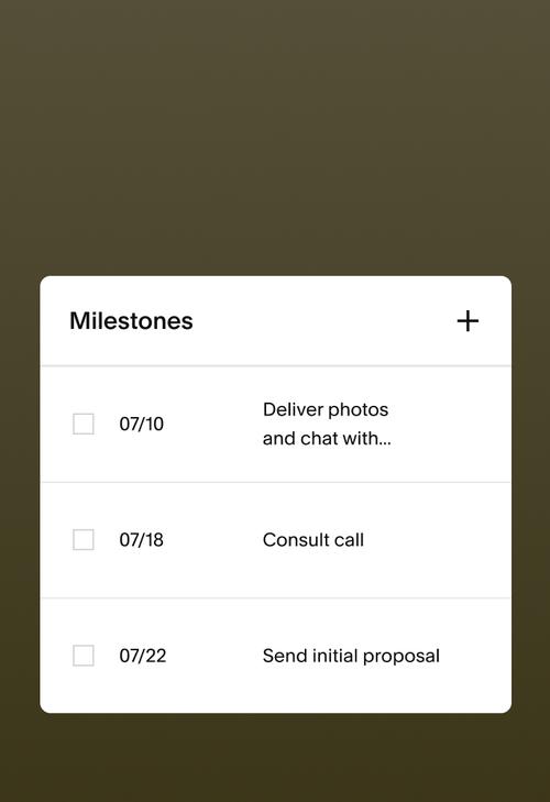 A Milestones tracker card with dated tasks, including 07/10 “Deliver photos and chat with…” and 07/18 “Consult call.”