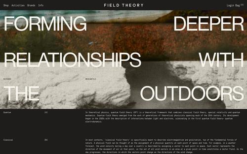 Field Theory