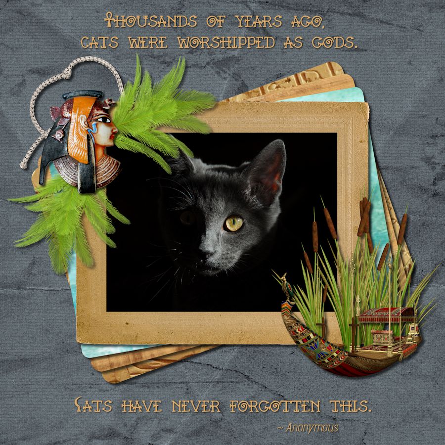 Pharaoh's Cat