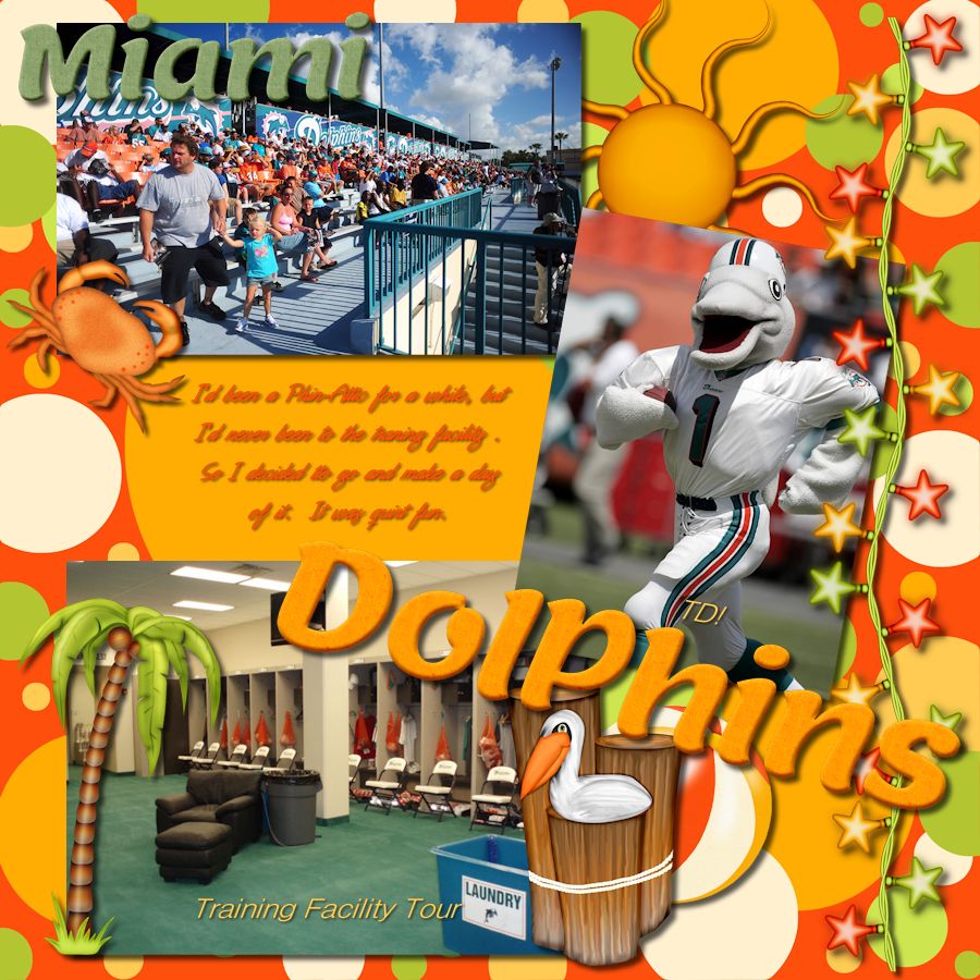 Miami Dolphins