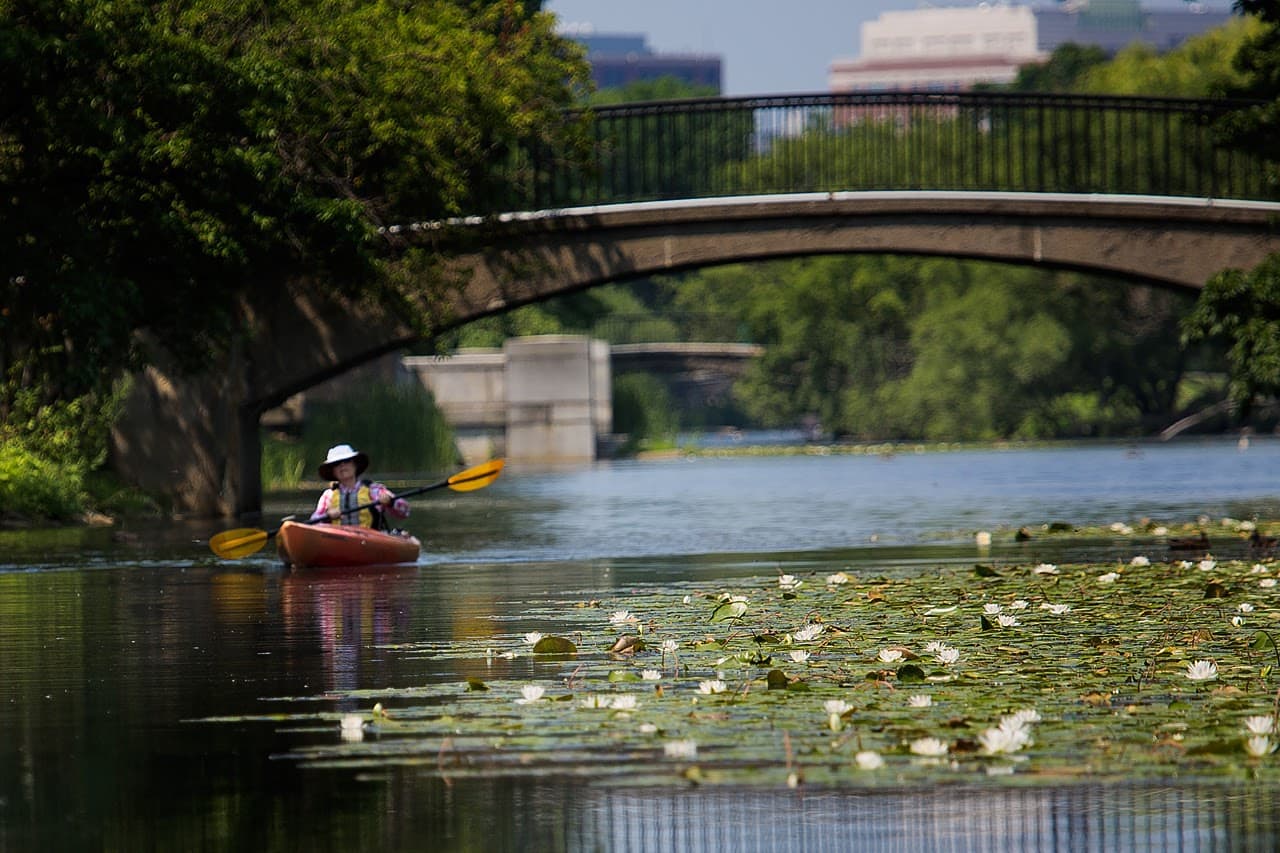 From paddling to electric boats, here’s how to get on the water in Greater Boston this summer