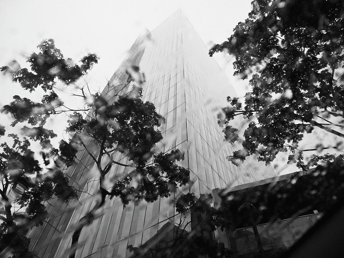 Rainy photograph of the outside of an office building