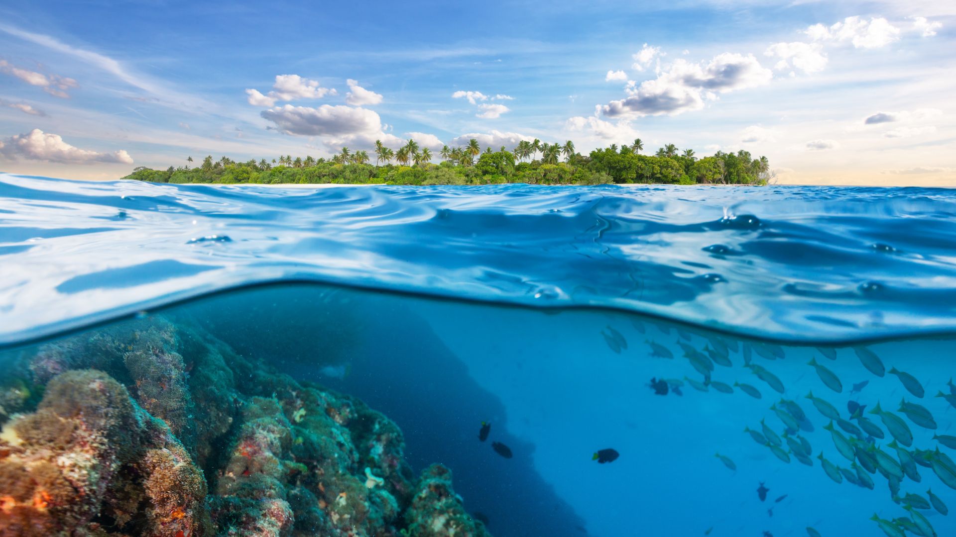 Sea level rising