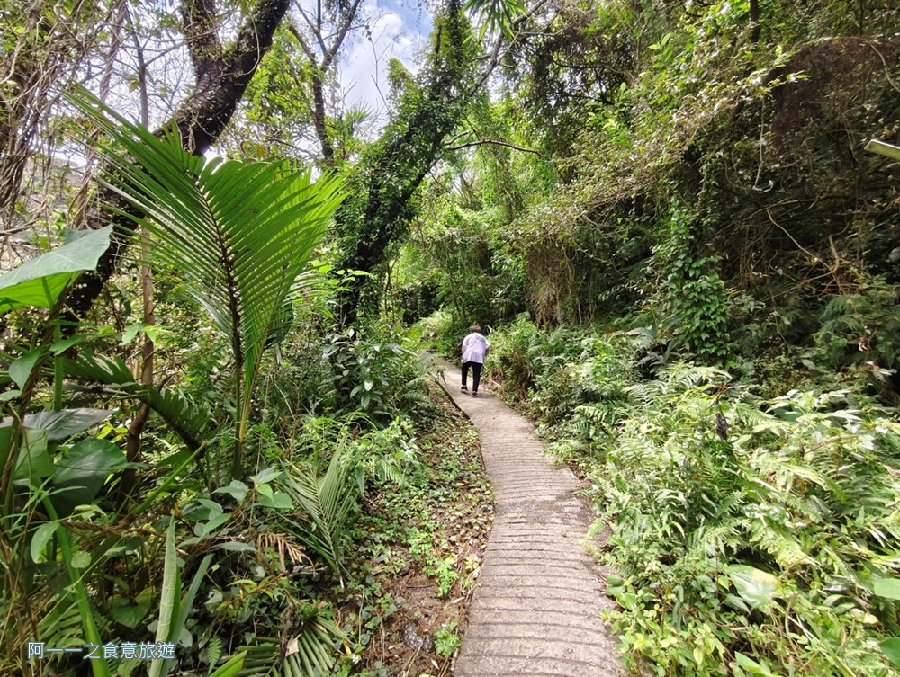 草山觀瀑吊橋.陽明山秘境.瀑布.台北玩水景點