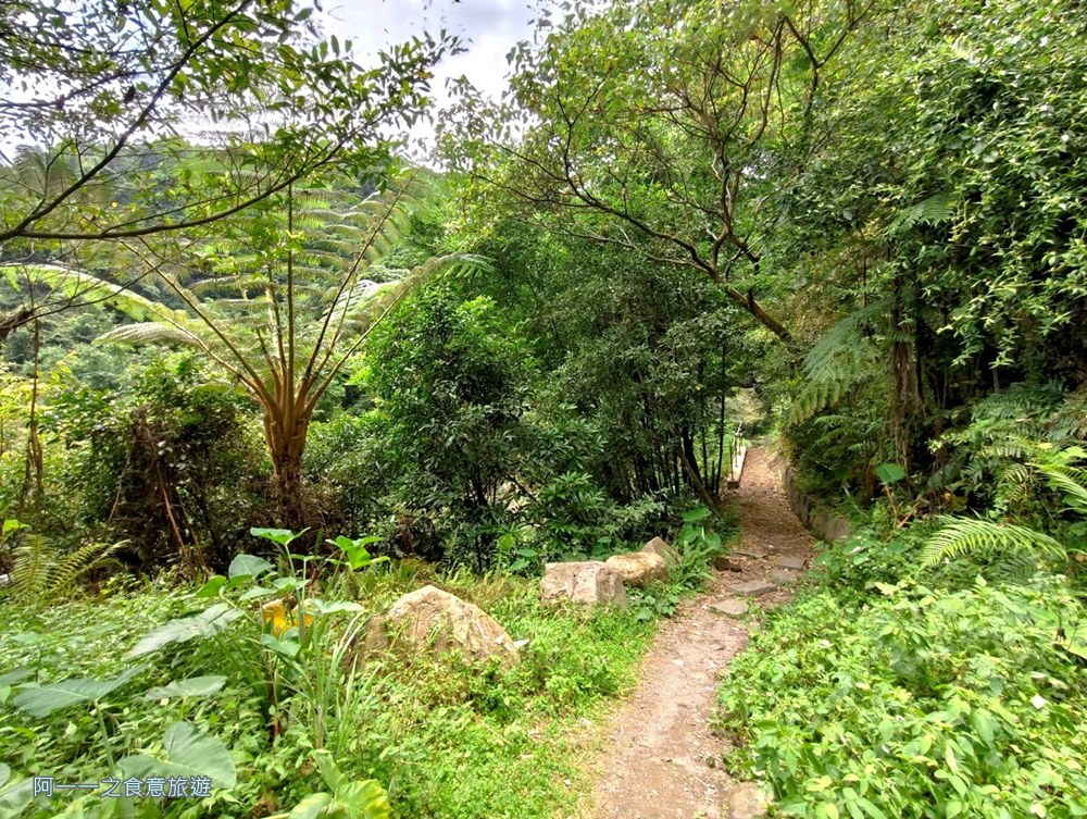 草山觀瀑吊橋.陽明山秘境.瀑布.台北玩水景點