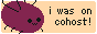 badge: i was on cohost!