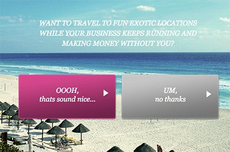 popup-quiz-choice-opt-in - PopupAlly Pro Screenshot of popup quiz