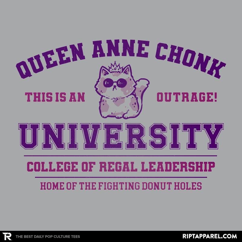 Home 37 Queen Anne Chonk University Image