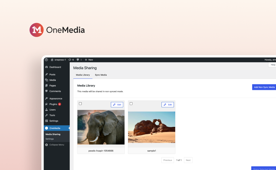OneMedia: Centralized Media Management for Multi-Brand WordPress Networks
