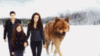 Twilight Breaking Dawn