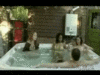 Jacuzzi