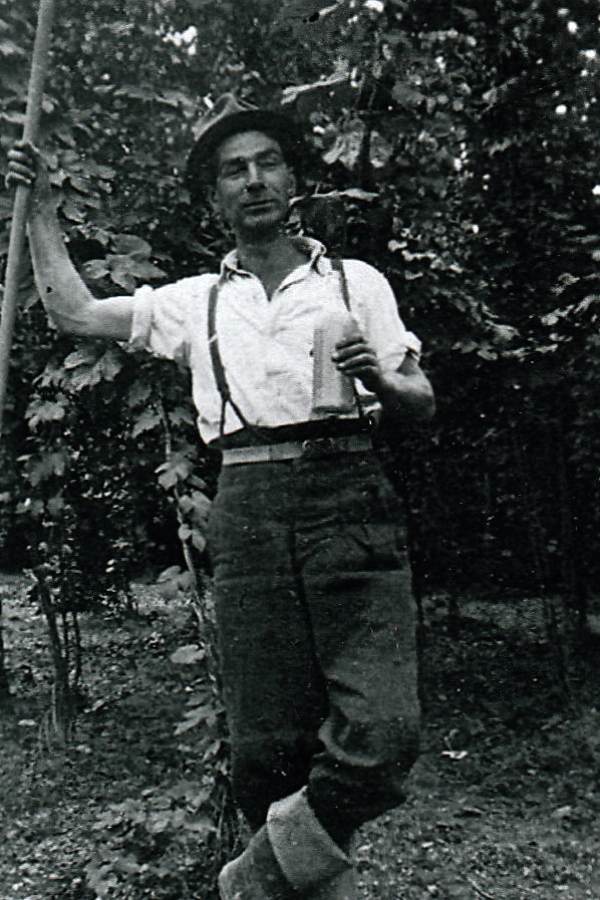 26