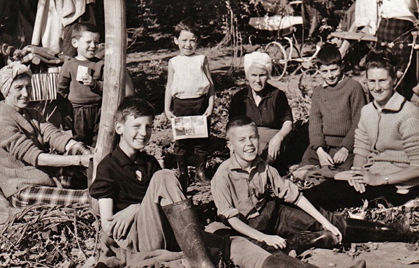36