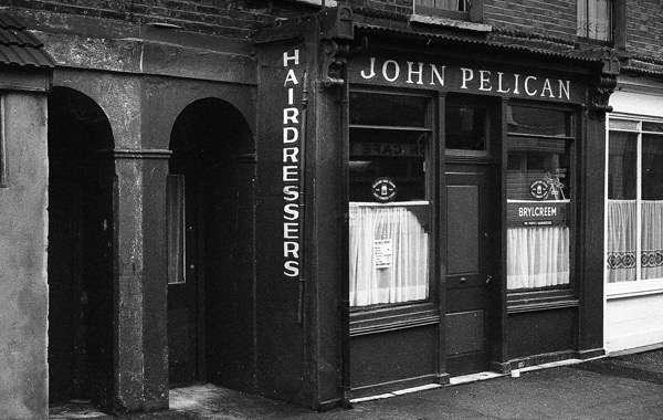 John_Pelican