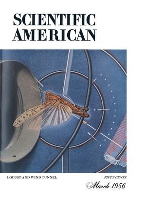 An illustrated locust flies in a wind tunnel in Scientific American Magazine Vol 194 Issue 3
