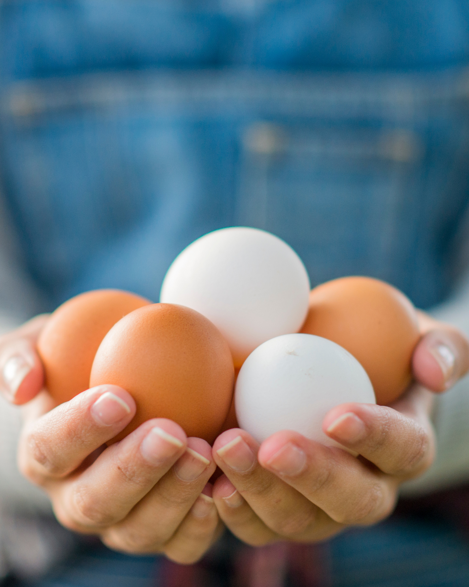 Why I’m Paying More Attention to Where My Food Comes From