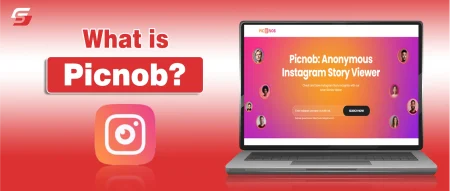 What Is Picnob? Anonymous Instagram Viewer, Features, Safety & Alternatives (2026) Picnob screenshot showing how users view posts, reels, and stories anonymously.
