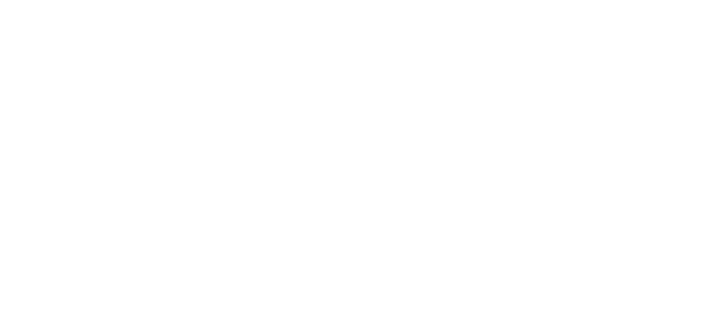 boston_whaler-logo-t