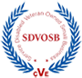 Service Disabled Veteran-Owned Small Business