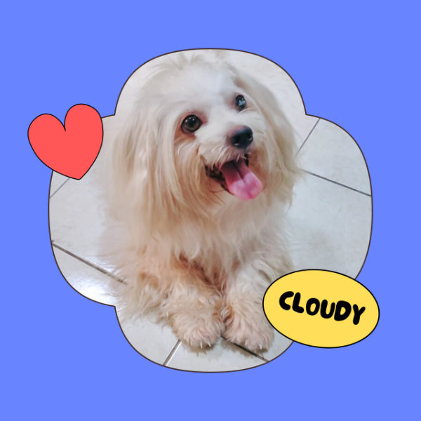 cloudymalt's avatar
