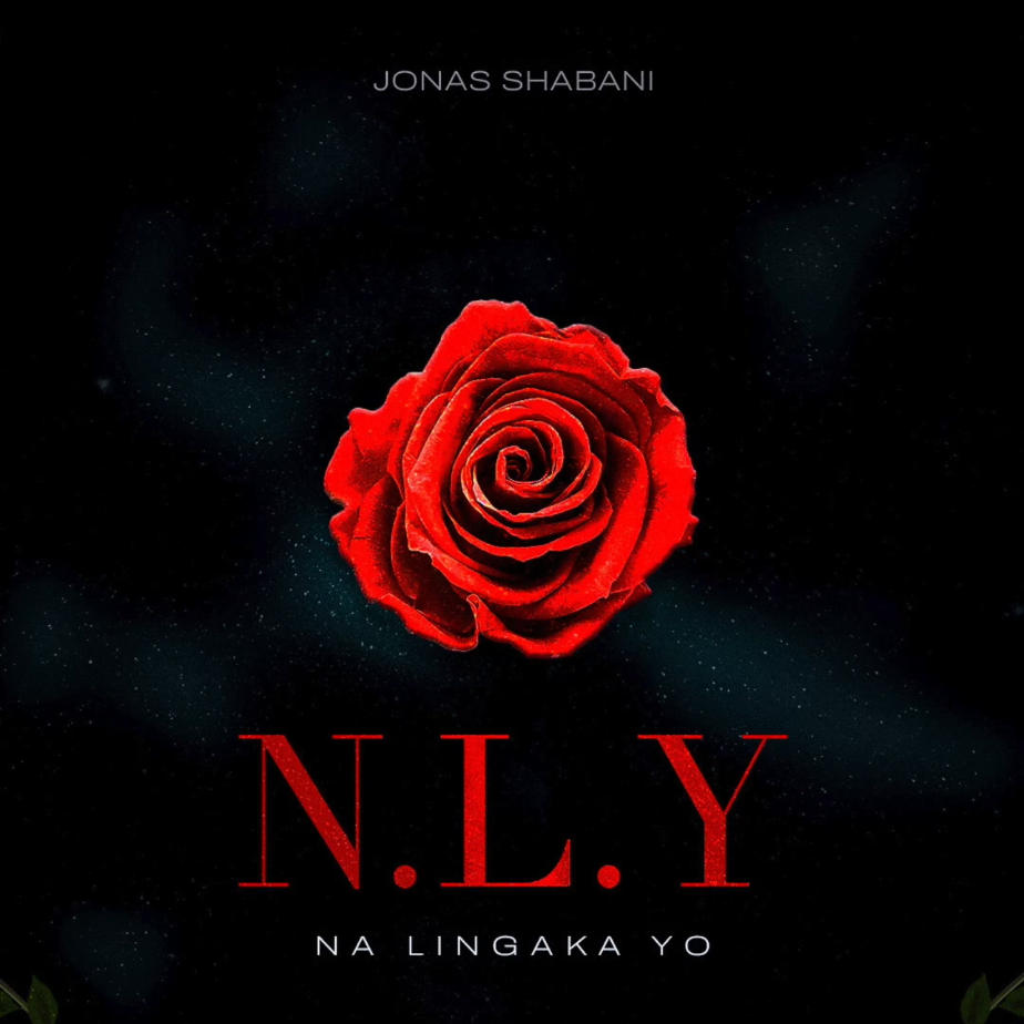 jonasshabani's avatar