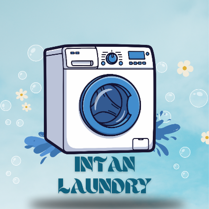 intannlaundry's avatar