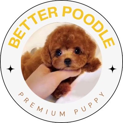 Miapoodle's avatar