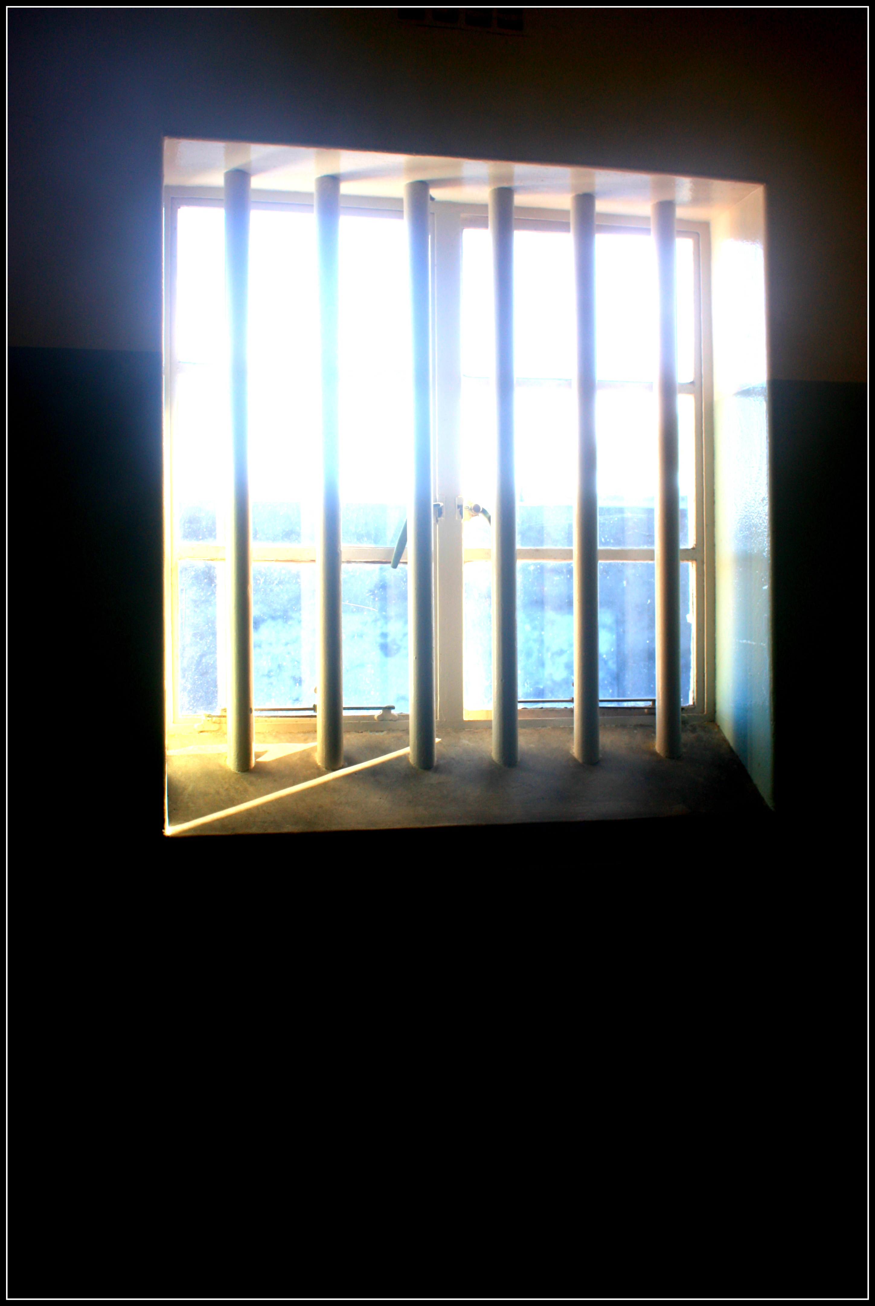 Wisdom Window