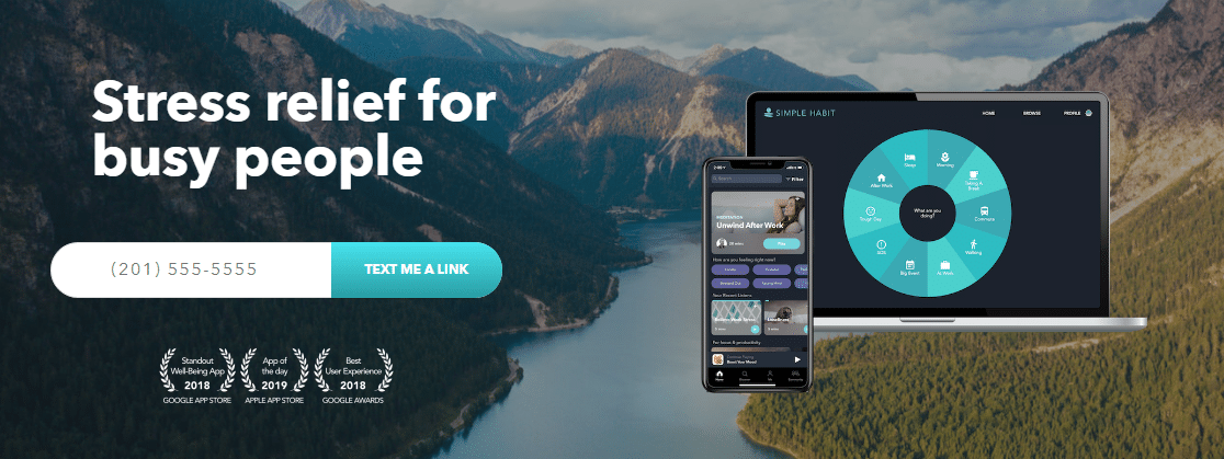 text lead - WPForms /text-lead