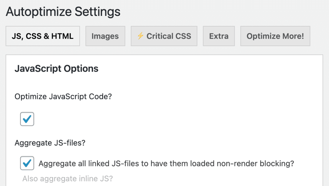 Autoptimize-Settings - WPForms Autoptimize settings
