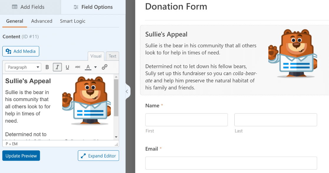 Content Field Showcase - WPForms Adding media and text using the Content field