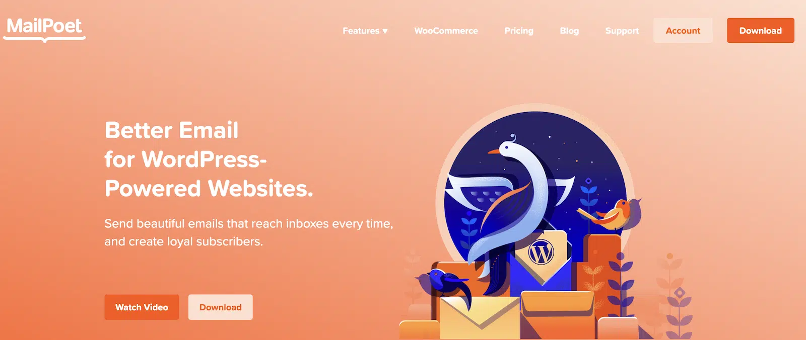 mailpoet - WP Mail SMTP Mailpoet