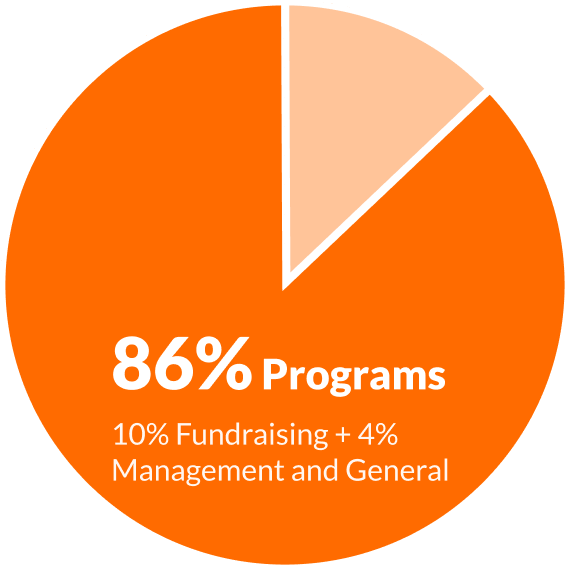 world vision pie chart