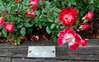 Like Artists, live in Wonder — How I Mom 19/30