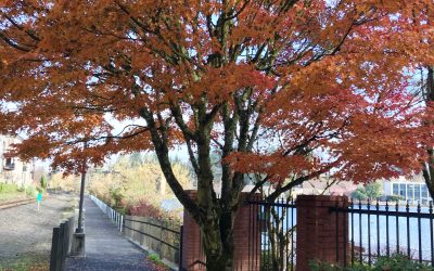 Be part of your neighborhood- How I Mom 24/30
