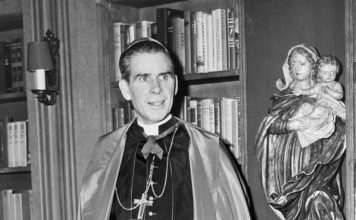 Receive daily reflections based on the words of Ven. Fulton J. Sheen as we approach his beatification on September 24, 2026. Click here to sign up!