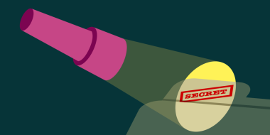 FOIA Flashlight FOIA Flashlight