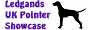 Ledgands Pointer Showcase